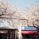 참 좋은 이용원