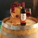 유진농원
