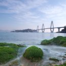 상도서비스 이미지