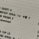 롯데프리미엄아울렛파주점핑