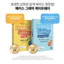 생생 기초 영문법 이미지