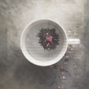 인터몰