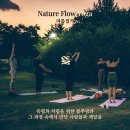 계절을 담은 제철요가 | 여름절기 | 대구야외요가