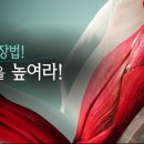 가온자리한의원 이미지
