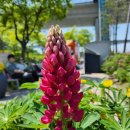 검암공원 이미지