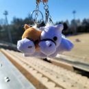 대덕승마장 이미지