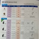 벨톤보청기 - 성동구 상원길 24 | 벨톤보청기