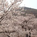 내산초등학교 이미지