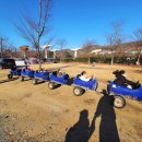 한터팜오토캠핑장 이미지