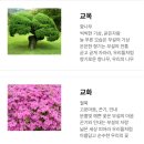 춘천교육대학교부설초등학교 이미지