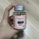 플랜유 | 비에날씬 유산균 엘레나 유산균 듀얼플랜 락토핏 다이어트 뚱보균 총 정리