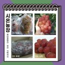 시온농장 이미지