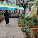 서울영양 이미지