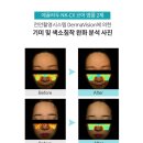 벨로티뷰티