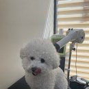 더키움 동물병원 이미지