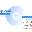 대륙여행사