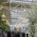 (주)바실리움 이미지