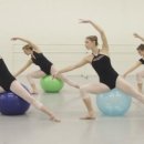 성인발레핏 이미지