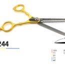 월드유한 이미지