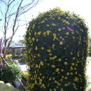 범어리 워터파크 이미지