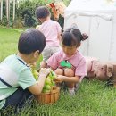 보령오천어린이집 이미지