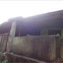 안성리-10 이미지