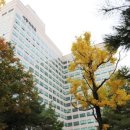 세종대학교 관광대학원 이미지