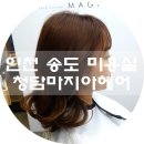 마지아헤어 이미지