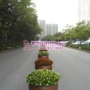 후곡마을(2) 이미지