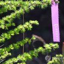 외씨버선길(영양연결구간) 이미지