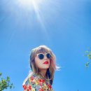 오늘이닭 이미지