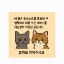 힐링 토마토 사우나 | 영등포구 민똣에서 직장 동료와 쌀국수, 불꽃 토마토 쌀국수, 짜조로 즐긴 베트남식 힐링 한 끼