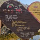 외사천 Daum카페