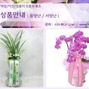 장안화원 이미지