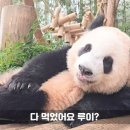 몬나니