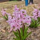 청약제도를 활용한 내집마련 전략 | 유주택자도 청약통장이 필요할까? 내집마련 후기와 다음 전략