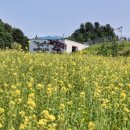 순환목장 이미지