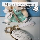 [아반떼cn7 차키케이스 추천] 영롱하고 튼튼한 '블루지브라키케이스' 솔직후기 with 예쁜키링과 악세사리!