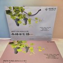 송산포도로 | 🍇 송산포도로 만든 건강차, 과일차의 품격! 숨soom 와인레드티로 만나는 카페인없는차 선물 추천