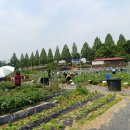 늘푸르름농장 이미지
