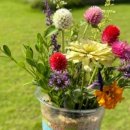 엔오엔팜 이미지