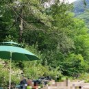 구나무촌 유원지 이미지