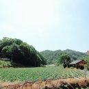 맑은물펜션민박 이미지