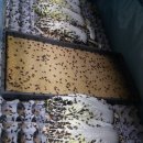 월학농장 이미지