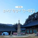 금강루 | 부모님 모시고 가기 좋은 평창 가볼만한곳 오대산 월정사 전나무숲길