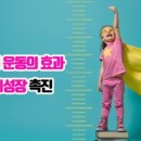 모산 용인대 국가대표 태권도장 이미지