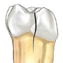 밝은e치과의원 이미지