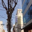 스테이공유홍대