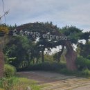 숲속의 정원 이미지