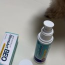 위시메디칼 | 시그니처바이 스토모액트 베오 강아지 치약 솔직후기
